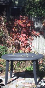 Pretty Leaves on the Fence_Oct 2015