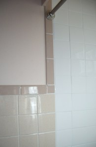 Old Tile (left)_New (right)_New Shower Rod_2016